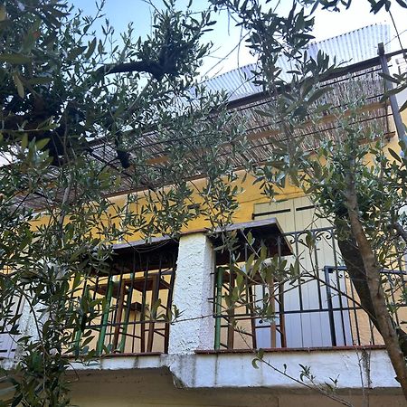Ferienwohnung Bastide Des Hesperides Flayosc Exterior foto