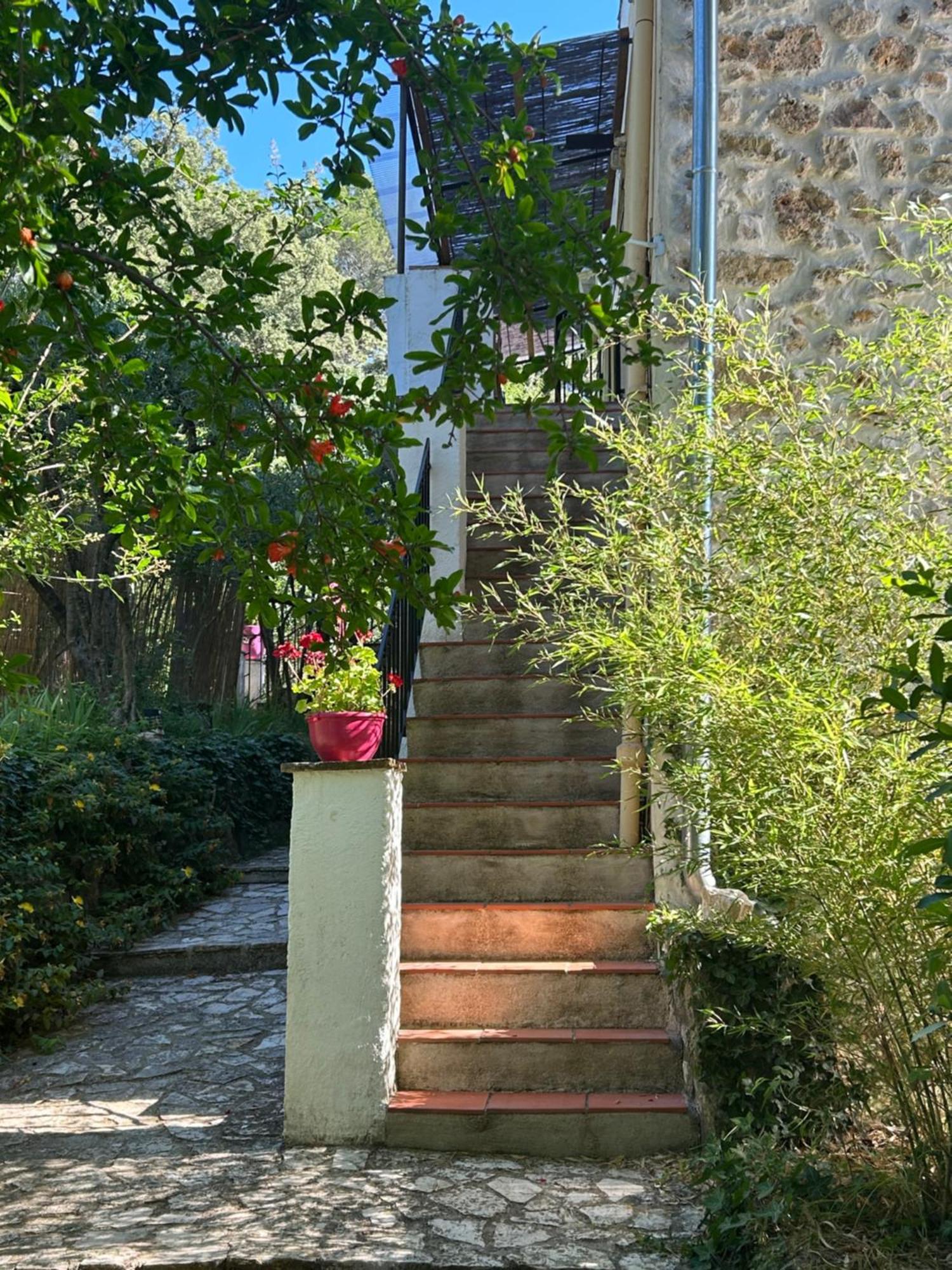 Ferienwohnung Bastide Des Hesperides Flayosc Exterior foto
